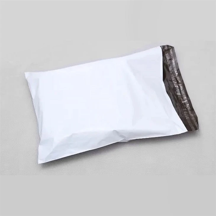 courier bag 2(001)